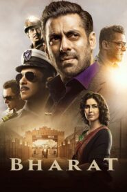 Bharat (2019) Hindi