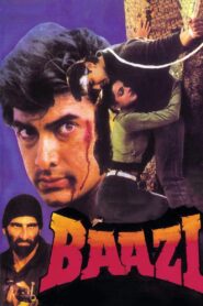 Baazi (1995) Hindi