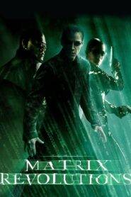 The Matrix Revolutions (2003) Hindi Dubbed