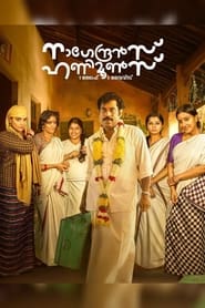 Nagendran’s Honeymoons (2024) Hindi Season 1 Complete