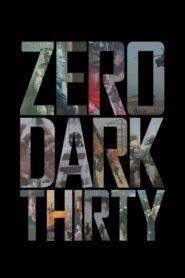 Zero Dark Thirty (2012) Hindi Dubbed