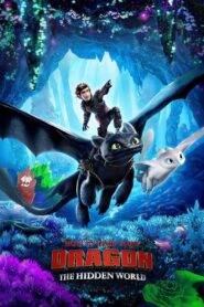 How to Train Your Dragon: The Hidden World (2019) Hindi Dubbed