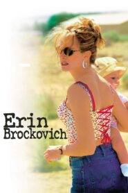 Erin Brockovich (2000) Hindi Dubbed